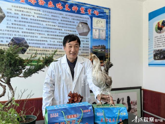 昝尔见尚的海东鸡良种繁育场入选全省首批省级畜禽遗传资源保种场——禽畜孵化迈向保种强基新阶段